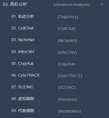 大模型分析功能展示